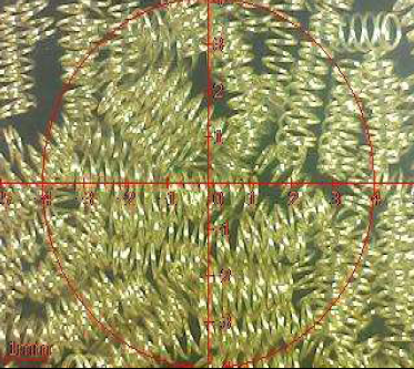 ポゴピンコネクタスプリングの種類