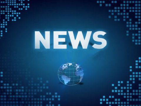 ポゴピンの構成と機能