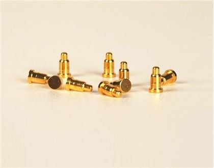 小さなポゴピン